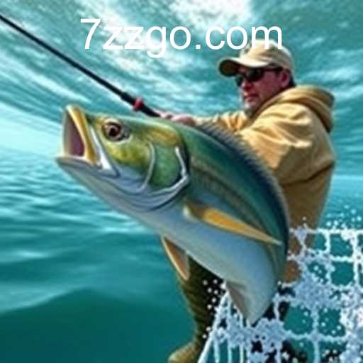 7zz.com